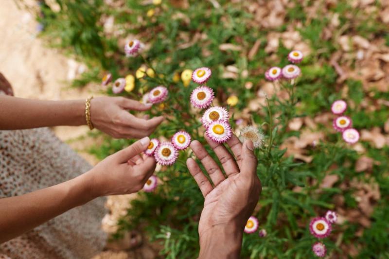 Hands reaching out to little flowers