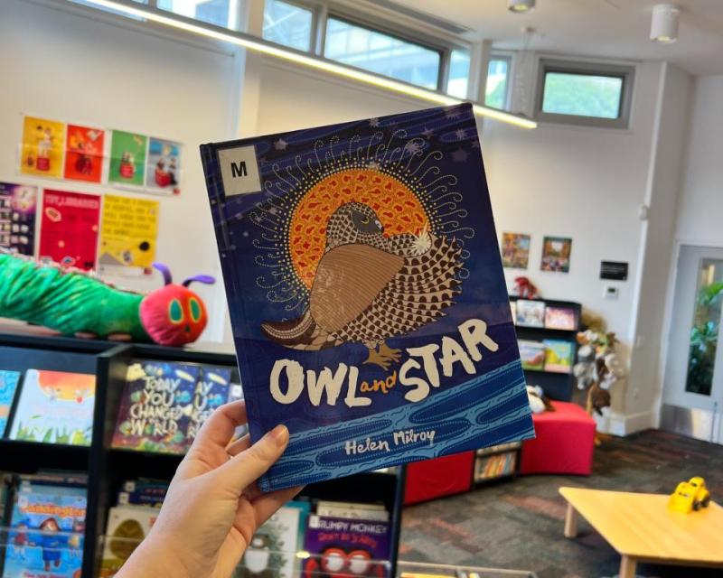 A hand holds up a book Owl Star
