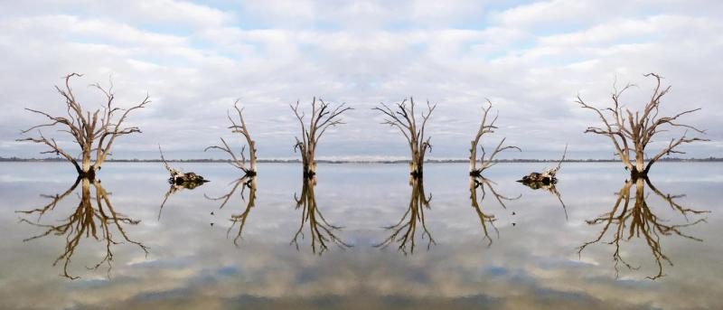 Reflections of trees coming out of the lake