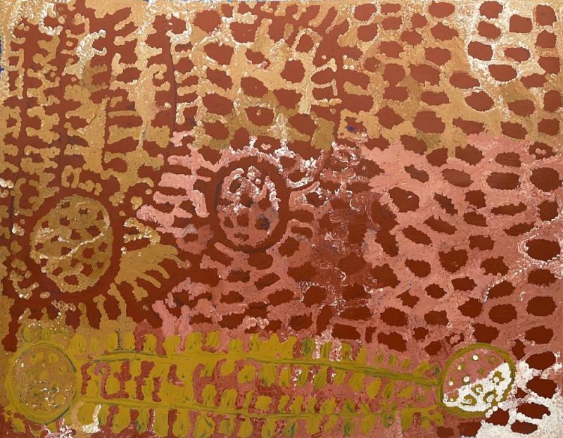 Lorna Fencer Napurrula, 'Warputi (White Potato)', May 2004, (A3976) acrylic on linen, 147 x 183 cm