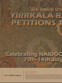 Brown bark background with wording We value the Vision, Yirrkala Bark Petitions 1963.